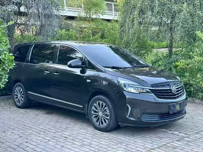 2021 Buick GL8 Land Business Class 652T Luxury, фото 3, лот 10254250