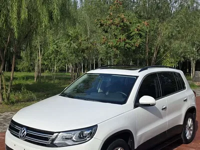 2017 Volkswagen Tiguan 300TSI Automatic 2WD Silk Road Fashion Edition, фото 1, лот 11230857