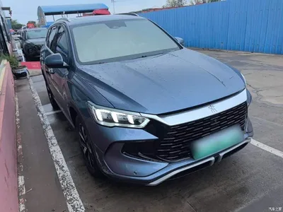 2023 BYD Song Pro New Energy Champion Edition DM-i 71KM Surpassing Type, фото 4, лот 10272553