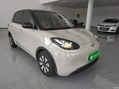 2024 Wuling Motors Wuling Bingo 333km Comfort Edition, фото 4, лот 10369752