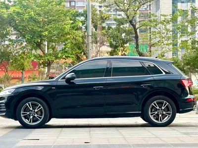 2020 Audi Q5L 40 TFSI Prestige Fashion, фото 4, лот 10454935