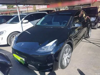 2021 Tesla Model Y Facelift II Long Range AWD, фото 3, лот 10441534