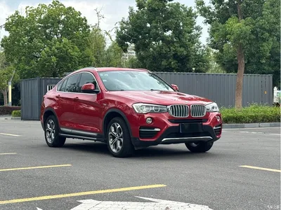 2014 BMW X4 xDrive20i X Design Package, фото 3, лот 10766713