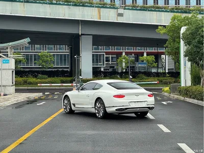 2022 Bentley Continental Gt, фото 4, лот 10243839