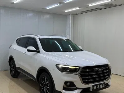 2021 Haval H6 National Trend Edition 1.5T Automatic Urban Edition, фото 3, лот 10282299