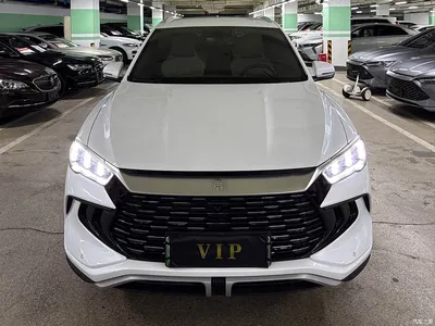 2024 BYD Song Pro New Energy Glory Edition DM-i 71KM Pilot, фото 2, лот 10769467