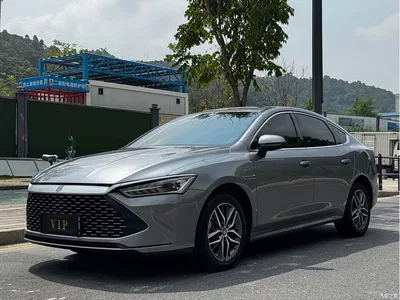 2023 BYD Qin PLUS Champion Edition DM-i 120KM Leading Type, фото 1, лот 10362934