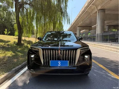 2021 Hongqi E-HS9 460km Flagship Comfort 6-seater, фото 2, лот 10288611