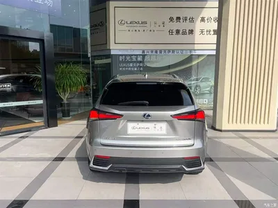 2018 Lexus NX Model 300h FWD Fengshang Edition China V, фото 3, лот 10616119