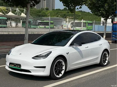 2020 Tesla Model 3 Standard Range Rear-Wheel Drive Upgrade, фото 1, лот 10353375
