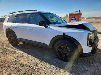 2027 KIA TELLURIDE X-LINE SX PRESTIGE, фото 4, лот 10973428
