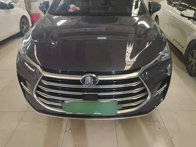 2023 BYD Tang New Energy Model DM-i Champion Edition 112KM Deluxe, фото 2, лот 11253684