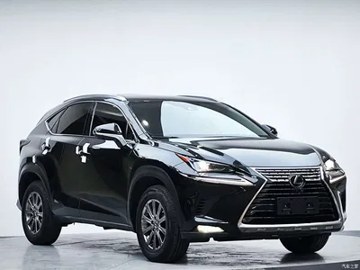 2020 Lexus NX 200 AWD F Sport China V, фото 4, лот 10311667