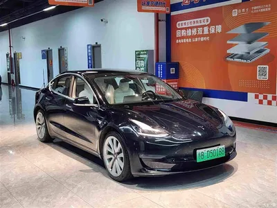 2020 Tesla Model 3 Long Range Rear-Wheel Drive, фото 3, лот 10368725