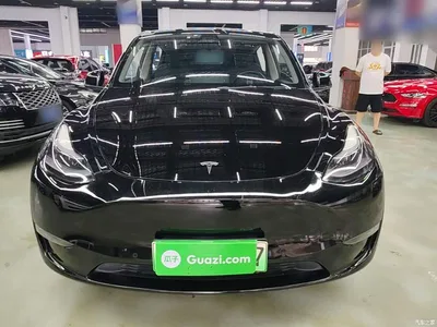 2021 Tesla Model Y Standard Range Rear-Wheel Drive, фото 3, лот 10370065