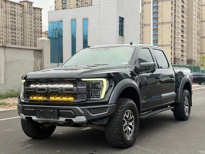 2023 Ford F-150 Raptor 3.5T Raptor, фото 1, лот 10293462