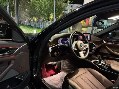 2021 BMW 5 Series 525Li M Sport Package, фото 4, лот 10459972