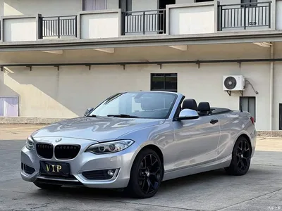 2015 BMW 2 Series (Import) 218i Convertible Coupe, фото 1, лот 11193525
