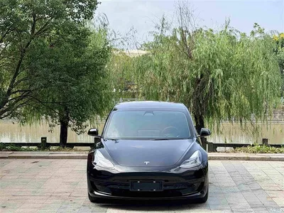 2022 Tesla Model 3 Model Rear-Wheel Drive Version, фото 2, лот 11179290