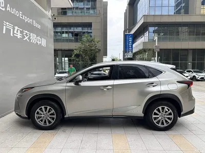 2020 Lexus NX 300h FWD F Sport China VI, фото 3, лот 10312215