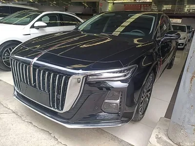 2024 Hongqi H5 2.0T Automatic Smart Connect Flag Smooth Edition, фото 2, лот 11097968