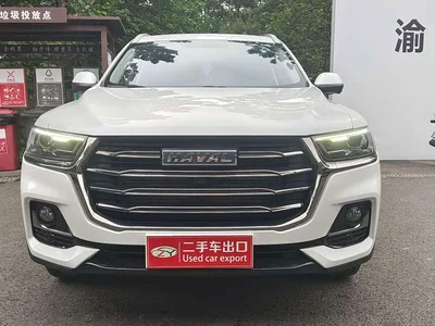 2021 Haval H6 National Trend Edition 1.5T Automatic Urban Edition, фото 2, лот 10281572