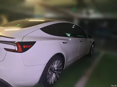 2023 Tesla Model 3 Rear-Wheel Drive, фото 4, лот 11412324