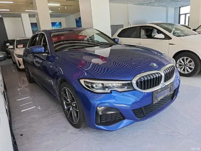 2021 BMW 3 Series 320Li M Sport Package, фото 4, лот 10457532