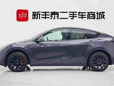 2024 Tesla Model Y Rear-Wheel Drive Version, фото 4, лот 10674635