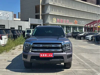 2023 Haval H5 2.0T Automatic 4WD Leading Edition Diesel, фото 3, лот 10396646