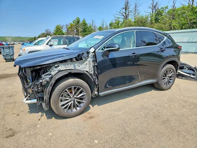 2024 LEXUS NX 350 PREMIUM, фото 1, лот 10900362