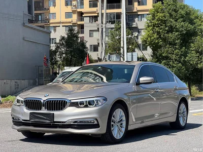 2018 BMW 5 Series Facelift 530Li Leading Luxury Package, фото 1, лот 11571510