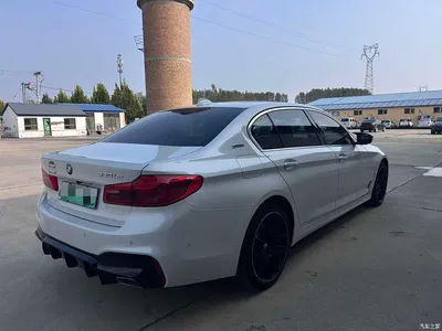 2019 BMW 5 Series New Energy 530Le Luxury Package, фото 4, лот 11192514