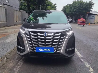 2025 Denza D9 DM-i Smart Drive Edition 1020 AWD Luxury, фото 2, лот 10768522