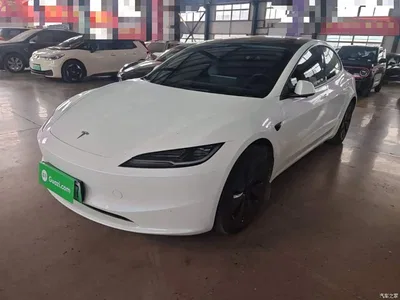 2025 Tesla Model 3 Model Rear-Wheel Drive Edition, фото 2, лот 10370341