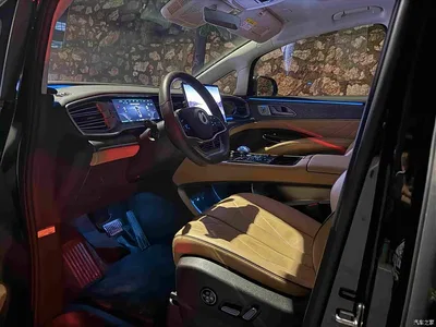 2024 Denza D9 DM-i 980 AWD Premium, фото 3, лот 10449715