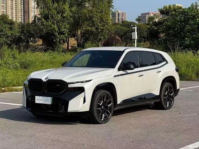 2023 BMW XM 50e, фото 1, лот 10393839