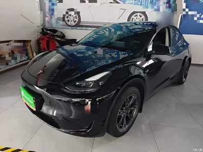 2023 Tesla Model Y Rear-Wheel Drive Edition, фото 2, лот 11502891