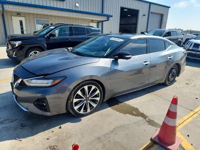 2023 NISSAN MAXIMA PLATINUM, фото 1, лот 10736969