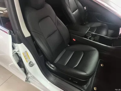 2020 Tesla Model 3 Standard Range Rear-Wheel Drive Upgrade, фото 4, лот 10370852