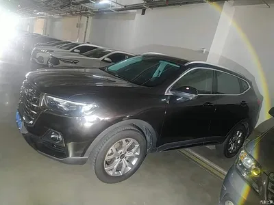 2021 Haval H6 National Trend Edition 1.5GDIT Automatic Champion Edition, фото 4, лот 11548685