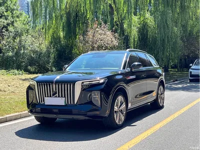 2021 Hongqi E-HS9 460km Flagship Comfort 6-seater, фото 1, лот 10289058