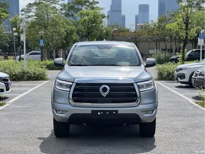 2019 Great Wall Pao 2.0T Automatic Gasoline 4WD Comfort GW4C20B, фото 2, лот 10364262