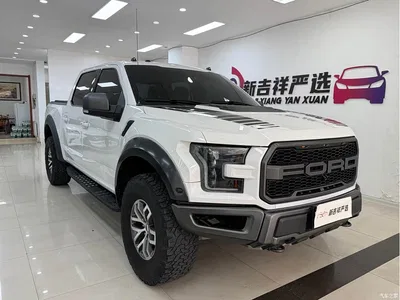 2018 Ford F-150 Raptor 3.5T Raptor Performance Enhanced Edition, фото 1, лот 10297194