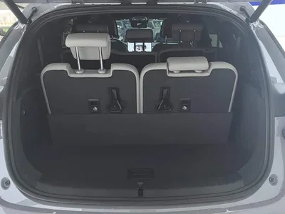 2025 BYD Tang New Energy DM-i 115KM Flagship, фото 4, лот 10271802