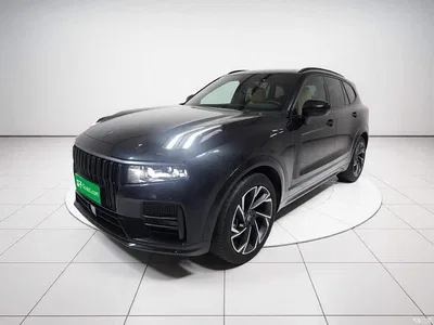 2021 Lynk & Co 09 EM-P 2.0T PHEV Ultra 6-seater, фото 1, лот 11219016