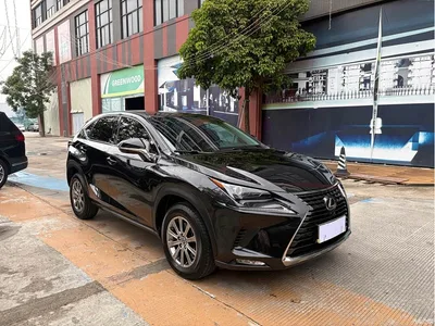 2020 Lexus NX 200 FWD Fengyi Edition China VI, фото 3, лот 10315355