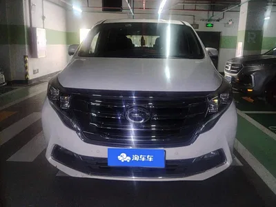 2018 GAC Trumpchi Trumpchi M8 320T Flagship Edition, фото 2, лот 10416872