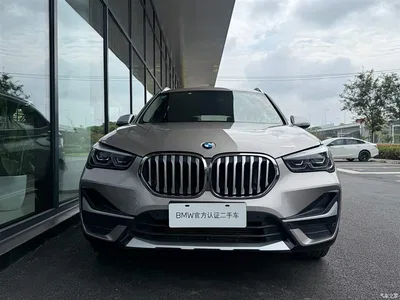 2021 BMW X1 xDrive25Li Exclusive, фото 2, лот 10808095