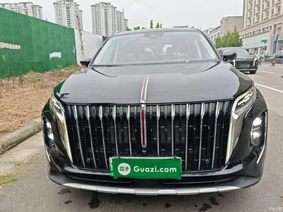 2024 Hongqi HS7 PHEV 2.0T PHEV AWD Qichang Edition 7-seater, фото 3, лот 11196514